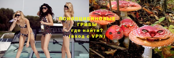 амф Алзамай