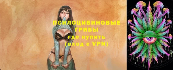 амф Алзамай