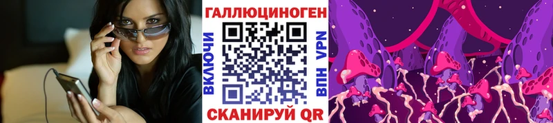 Галлюциногенные грибы прущие грибы  Суздаль 